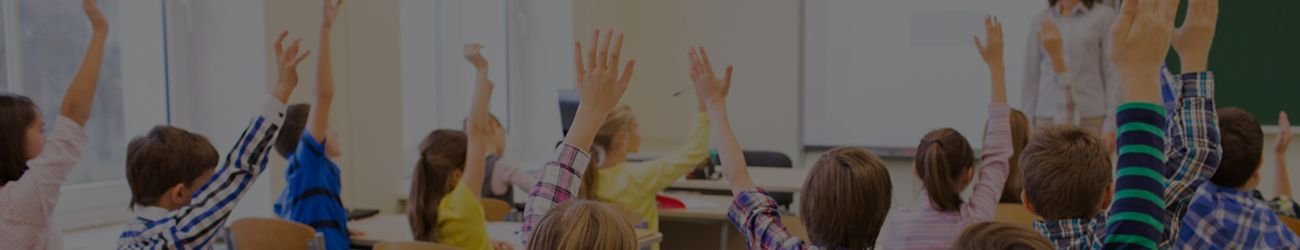 TEACHER PROGRAM